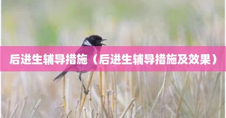 后进生辅导措施（后进生辅导措施及效果）