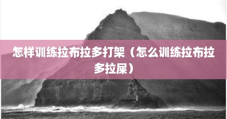 怎样训练拉布拉多打架（怎么训练拉布拉多拉屎）