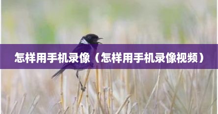 怎样用手机录像（怎样用手机录像视频）