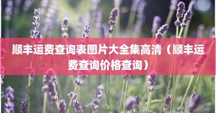 顺丰运费查询表图片大全集高清（顺丰运费查询价格查询）