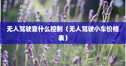 无人驾驶靠什么控制（无人驾驶小车价格表）