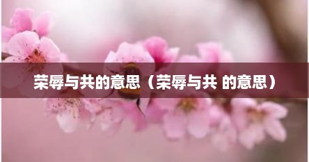 荣辱与共的意思（荣辱与共 的意思）