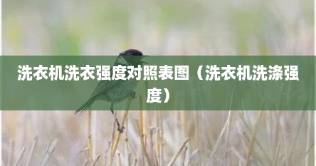 洗衣机洗衣强度对照表图（洗衣机洗涤强度）
