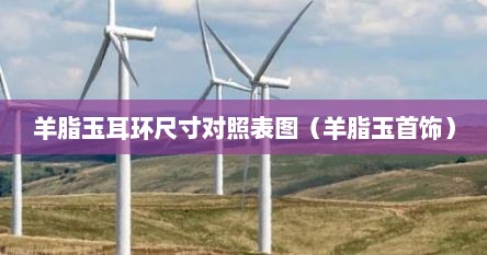 羊脂玉耳环尺寸对照表图（羊脂玉首饰）