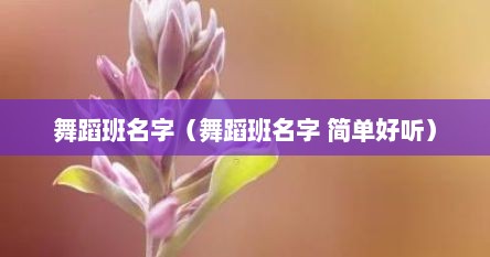 舞蹈班名字（舞蹈班名字 简单好听）