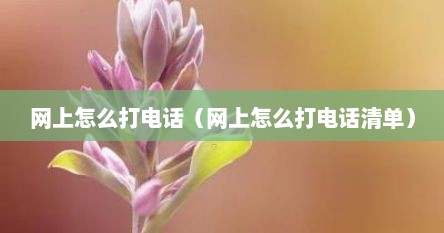 网上怎么打电话（网上怎么打电话清单）