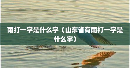 雨打一字是什么字（山东省有雨打一字是什么字）