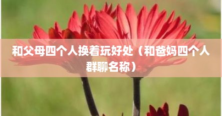 和父母四个人换着玩好处（和爸妈四个人群聊名称）