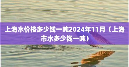 上海水价格多少钱一吨2024年11月（上海市水多少钱一吨）