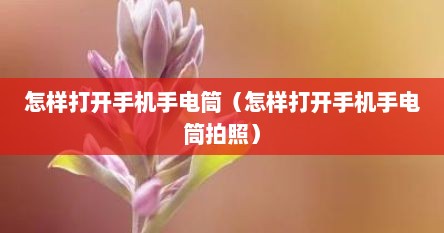 怎样打开手机手电筒（怎样打开手机手电筒拍照）