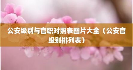 公安级别与官职对照表图片大全（公安官级别排列表）