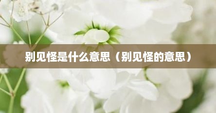 别见怪是什么意思（别见怪的意思）