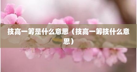 技高一筹是什么意思（技高一筹技什么意思）