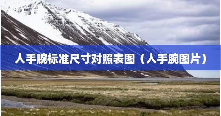 人手腕标准尺寸对照表图（人手腕图片）