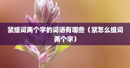 紧组词两个字的词语有哪些（紧怎么组词两个字）