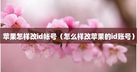 苹果怎样改id帐号（怎么样改苹果的id账号）
