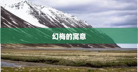 幻梅的寓意