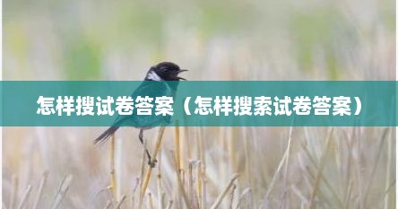 怎样搜试卷答案（怎样搜索试卷答案）