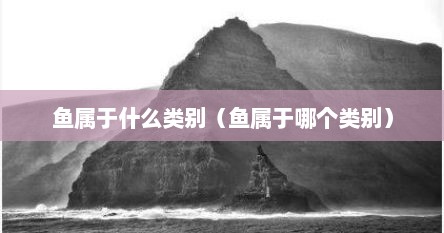 鱼属于什么类别（鱼属于哪个类别）