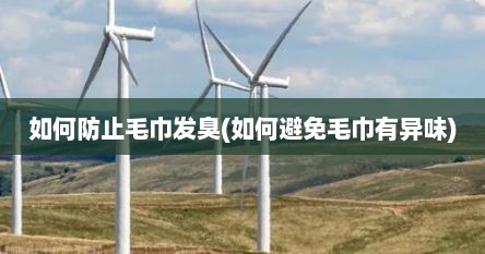 如何防止毛巾发臭(如何避免毛巾有异味)