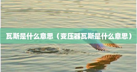 瓦斯是什么意思（变压器瓦斯是什么意思）