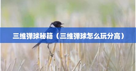 三维弹球秘籍（三维弹球怎么玩分高）