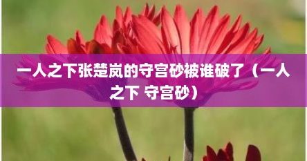 一人之下张楚岚的守宫砂被谁破了（一人之下 守宫砂）