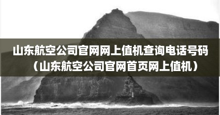 山东航空公司官网网上值机查询电话号码（山东航空公司官网首页网上值机）