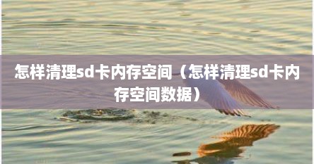 怎样清理sd卡内存空间（怎样清理sd卡内存空间数据）
