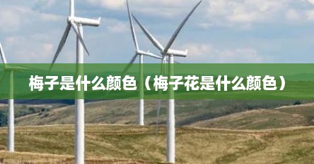 梅子是什么颜色（梅子花是什么颜色）
