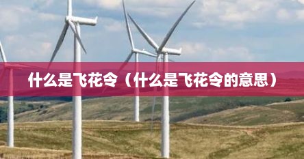 什么是飞花令（什么是飞花令的意思）
