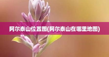 阿尔泰山位置图(阿尔泰山在哪里地图)