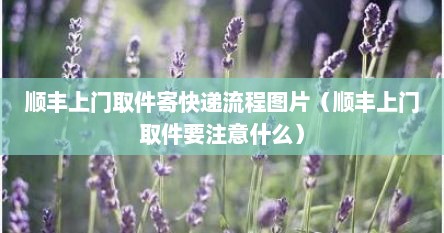 顺丰上门取件寄快递流程图片（顺丰上门取件要注意什么）