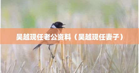 吴越现任老公资料（吴越现任妻子）