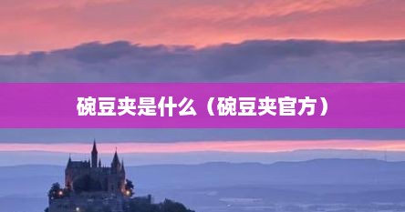碗豆夹是什么（碗豆夹官方）