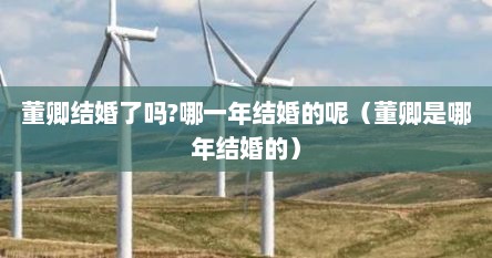 董卿结婚了吗?哪一年结婚的呢（董卿是哪年结婚的）