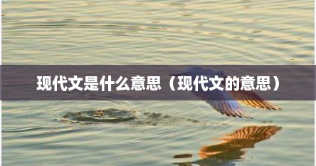 现代文是什么意思（现代文的意思）