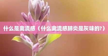 什么是禽流感（什么禽流感肺炎是灰味的?）