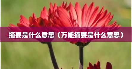 摘要是什么意思（万能摘要是什么意思）