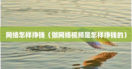 网络怎样挣钱（做网络视频是怎样挣钱的）