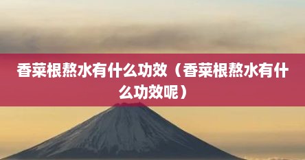 香菜根熬水有什么功效（香菜根熬水有什么功效呢）
