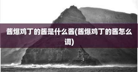 酱爆鸡丁的酱是什么酱(酱爆鸡丁的酱怎么调)