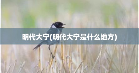 明代大宁(明代大宁是什么地方)