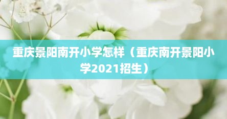 重庆景阳南开小学怎样（重庆南开景阳小学2021招生）