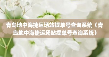 青岛地中海捷运场站提单号查询系统（青岛地中海捷运场站提单号查询系统）