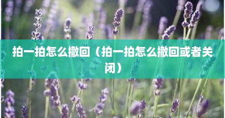 拍一拍怎么撤回（拍一拍怎么撤回或者关闭）