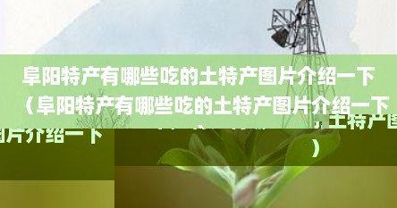 阜阳市有哪些特产（阜阳特产介绍）