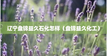 辽宁盘锦益久石化怎样（盘锦益久化工）