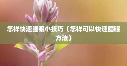 怎样快速睡眠小技巧（怎样可以快速睡眠方法）