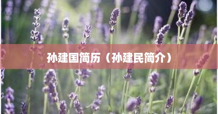 孙建国简历（孙建民简介）